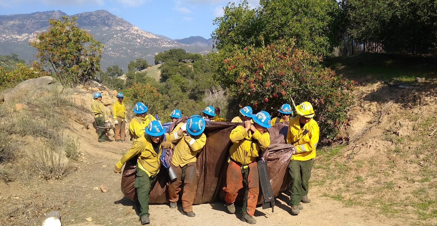 Fuel Reduction and Invasive Plant Removal Conducted in Stevens Park